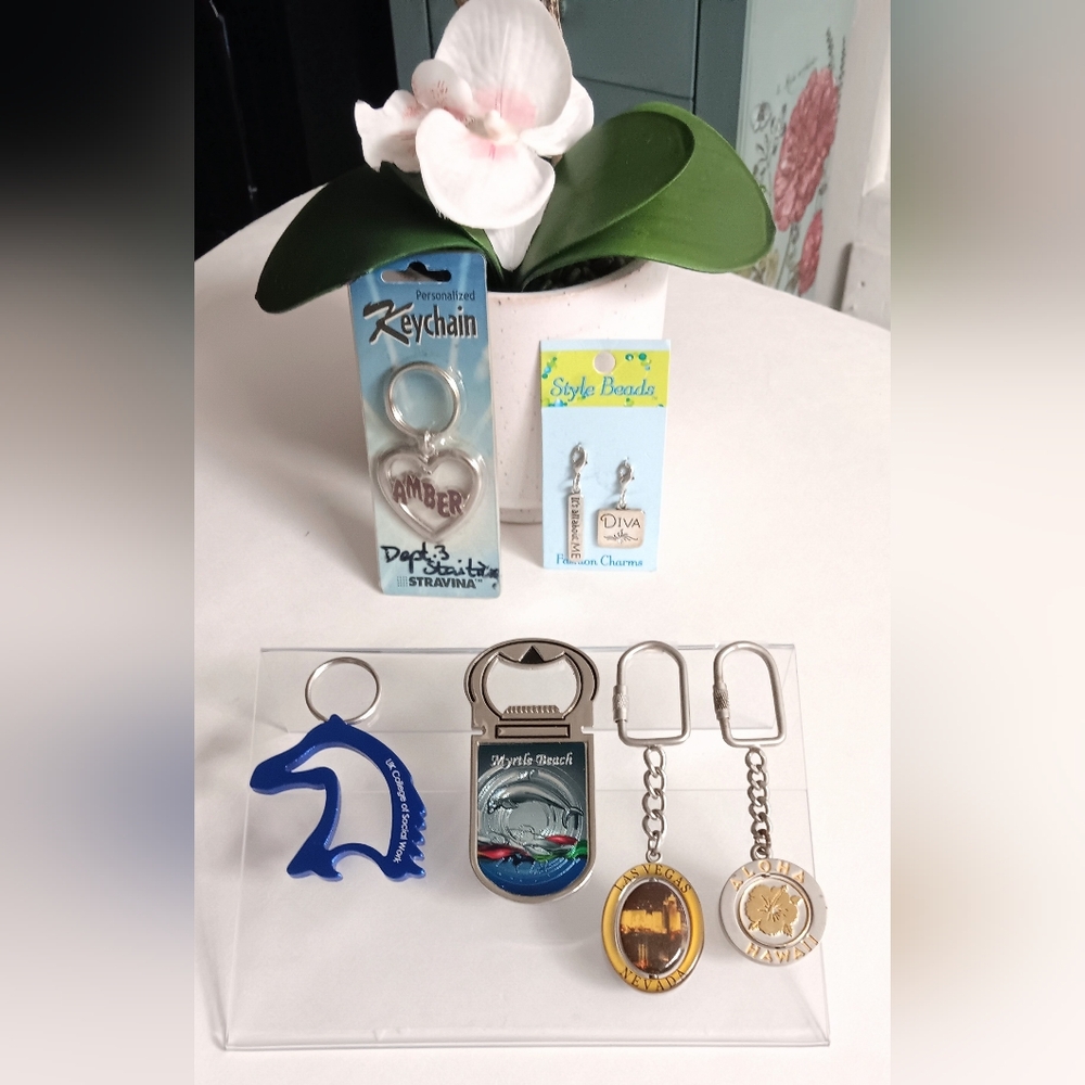 6 Pack of Keychain Spinner Souvenirs bulk , Charms and more Gift Bundle